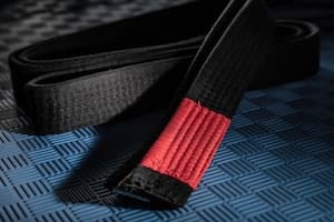 Black belt with red bar - symbolizing the ARMBAR concept