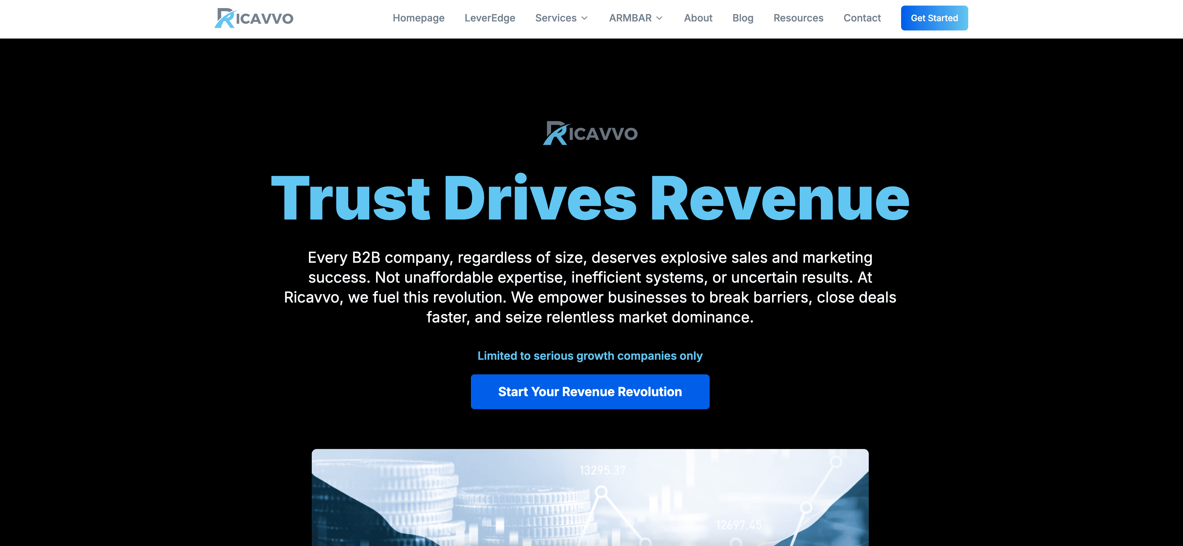 Ricavvo - Trust Drives Revenue