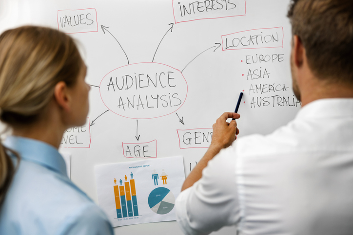 B2B audience analysis and marketing strategy planning for brand development and digital growth